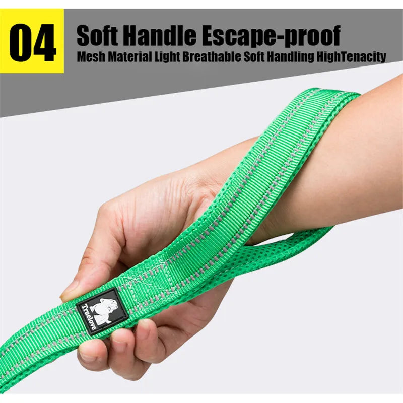Truelove Soft Pet Leash Reflective Nylon Mesh Padded Puppy Large Dog or Cat Walking Training