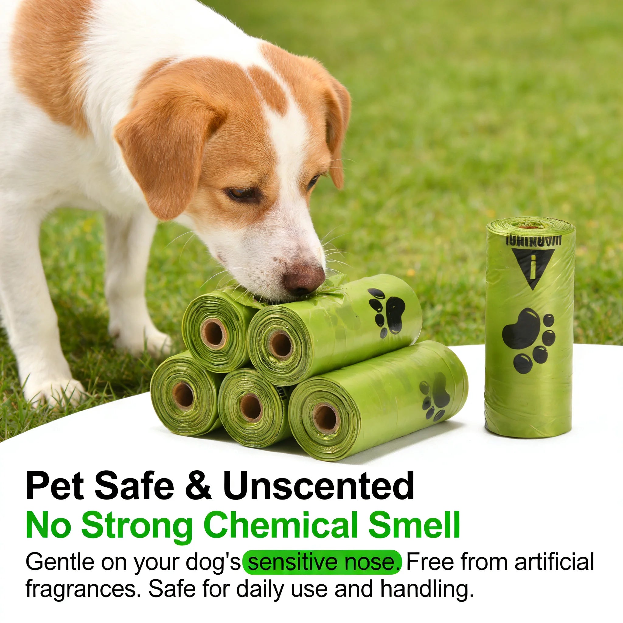 Eco-Friendly Dog Waste Bags | Extra Thick, Leak-Proof & Unscented | EPI Biodegradable Poop Bags for Dog Walking