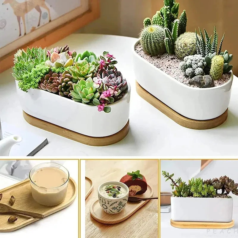 Handcrafted Japanese Beech Wood Oval Plate (16.7x8cm) - Eco-Friendly Solid Wood Appetizer Tray