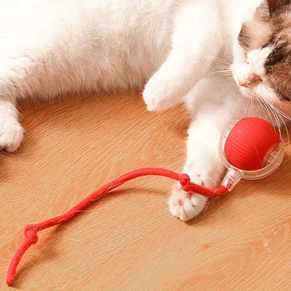 Smart Electric Rolling Ball Cat Toy | Auto Obstacle Avoidance, Faux Tail Mouse | Type-C Rechargeable Interactive Toy