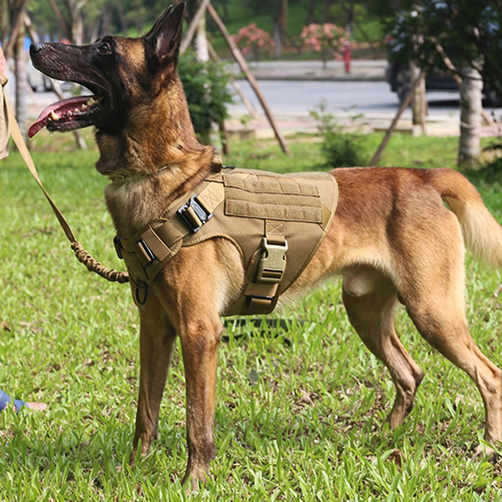 PETRAVEL Tactical Dog Harness & Leash Set | 1050D Nylon Vest | Quick-Release, MOLLE System | S–XL for Medium & Large Dogs