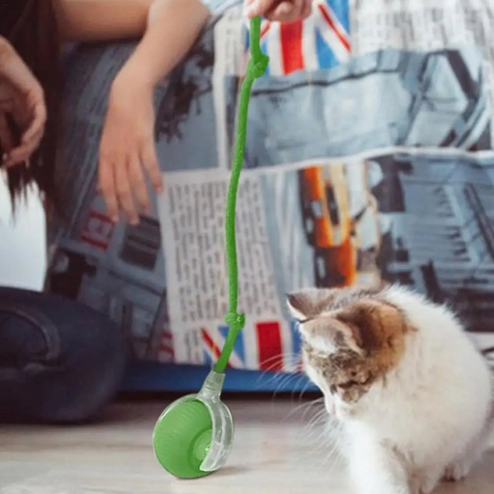 Smart Electric Rolling Ball Cat Toy | Auto Obstacle Avoidance, Faux Tail Mouse | Type-C Rechargeable Interactive Toy
