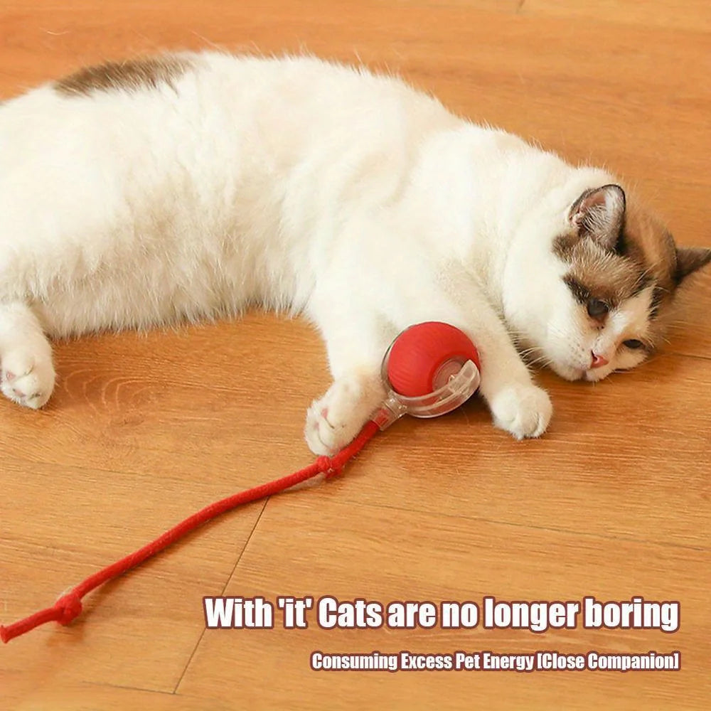 Smart Electric Rolling Ball Cat Toy | Auto Obstacle Avoidance, Faux Tail Mouse | Type-C Rechargeable Interactive Toy