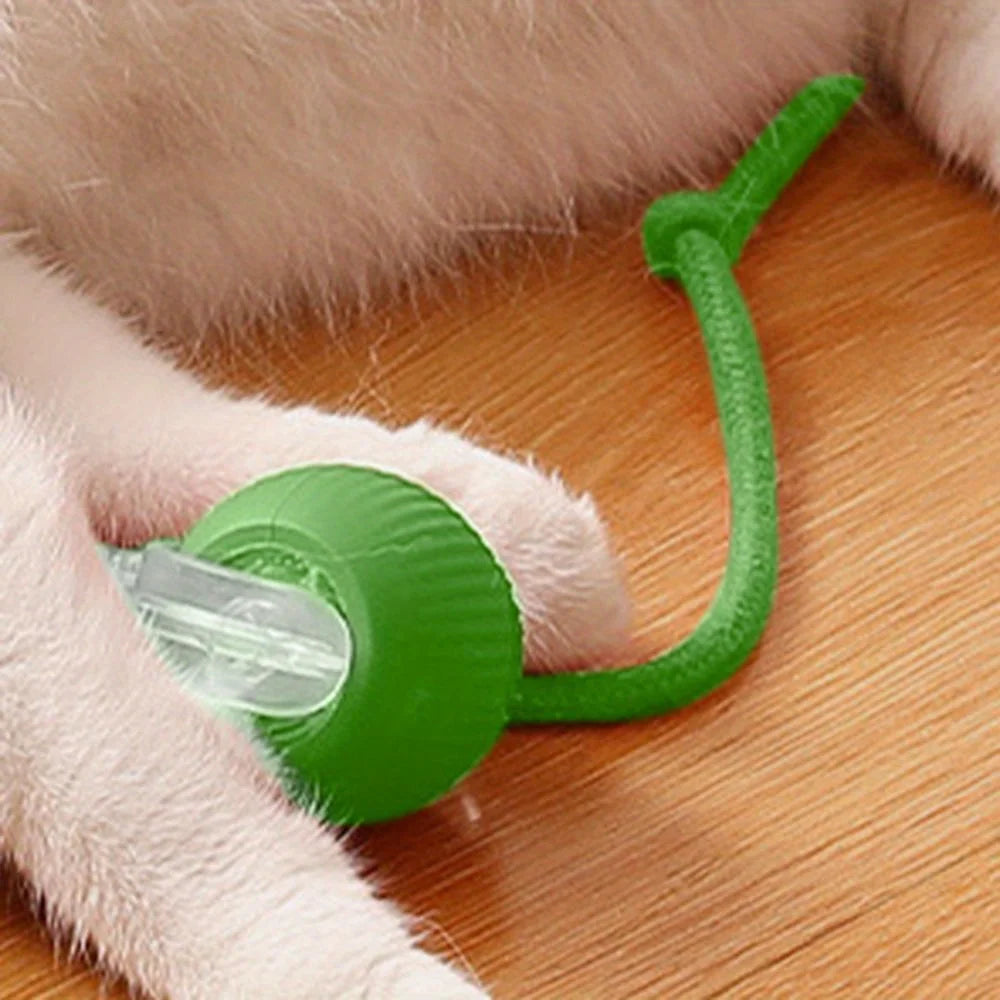 Smart Electric Rolling Ball Cat Toy | Auto Obstacle Avoidance, Faux Tail Mouse | Type-C Rechargeable Interactive Toy