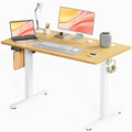 JHK Electric Standing Desk - Height Adjustable Ergonomic Computer Desk for Home Office