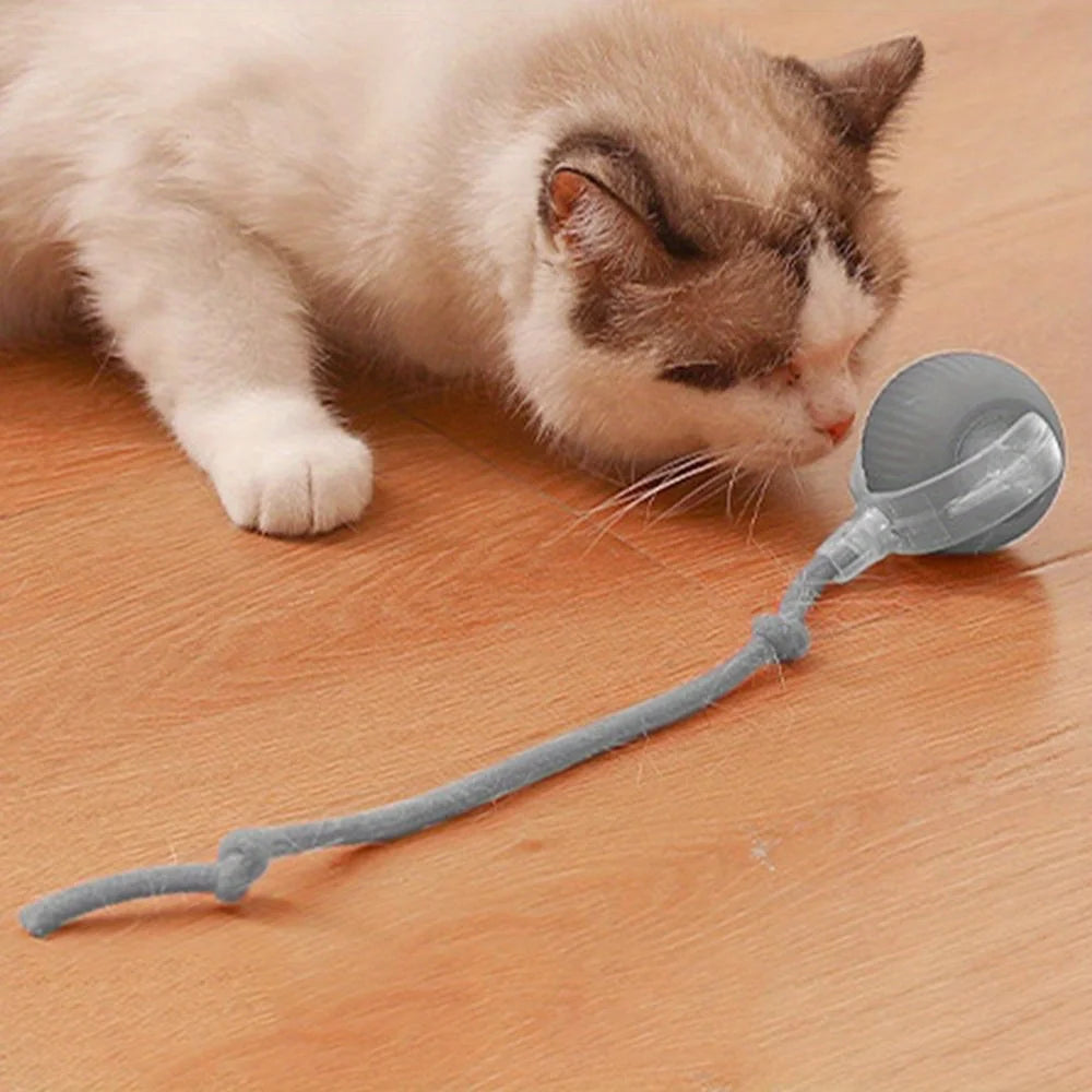 Smart Electric Rolling Ball Cat Toy | Auto Obstacle Avoidance, Faux Tail Mouse | Type-C Rechargeable Interactive Toy