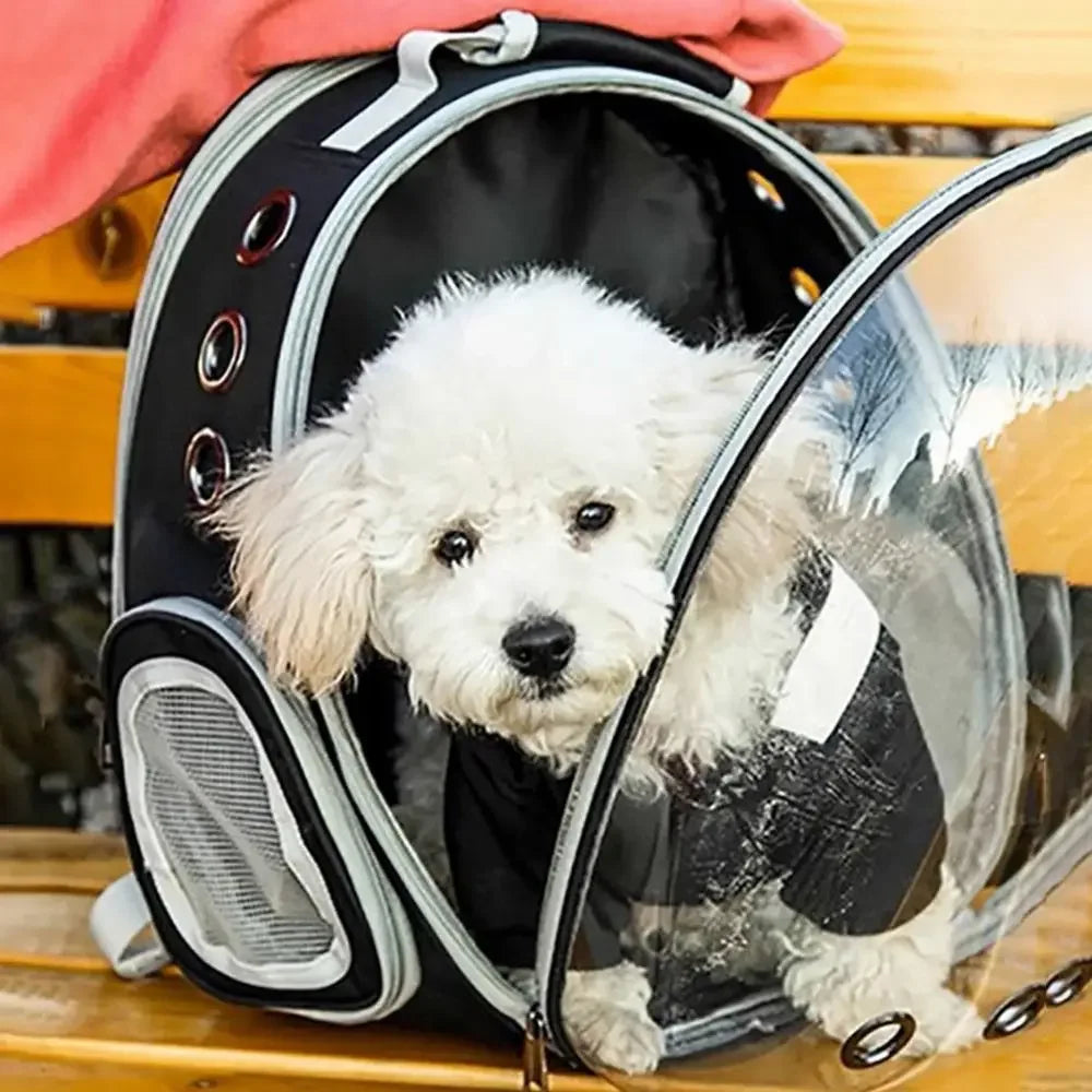Space Capsule Cat Backpack | Transparent Ventilated Pet Carrier for Travel, Hiking & Vet Visits