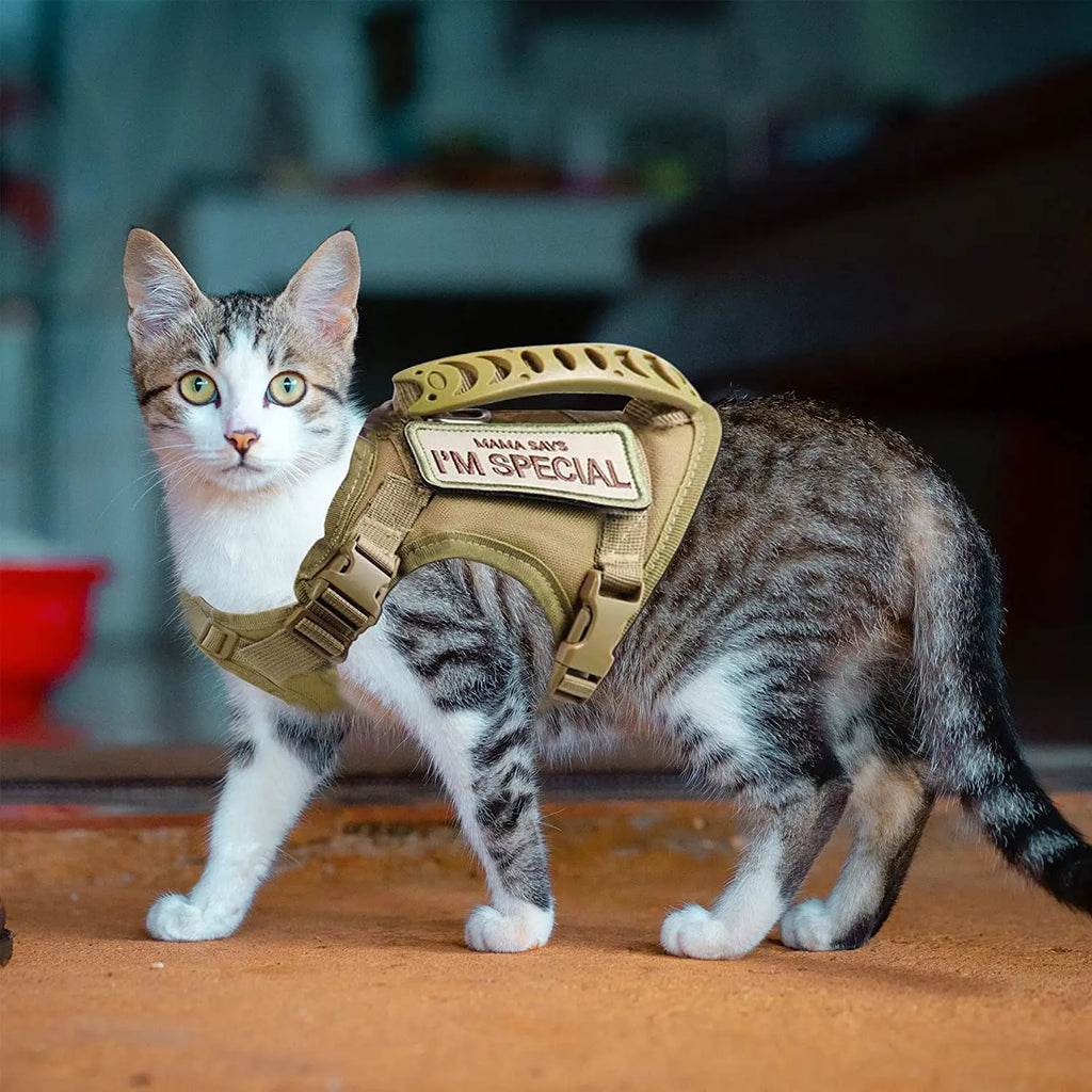 LISM Tactical Cat Harness | Escape-Proof Vest with Air Cushion Support & Control Handle | Adjustable for Cats & Small Dogs