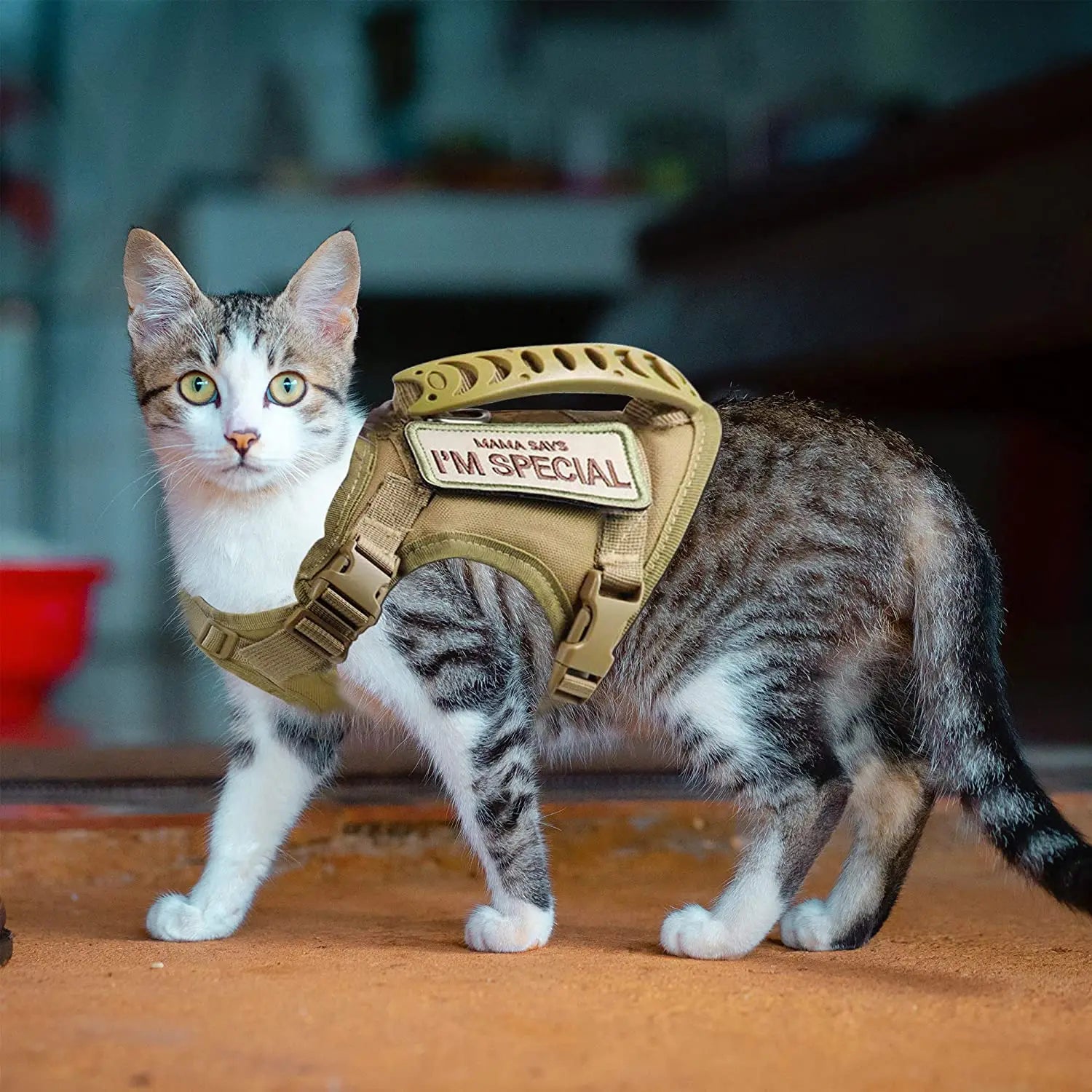 LISM Tactical Cat Harness | Escape-Proof Vest with Air Cushion Support & Control Handle | Adjustable for Cats & Small Dogs